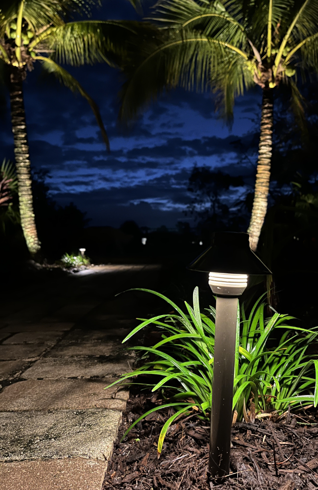 Dusk Pathlight & Palms