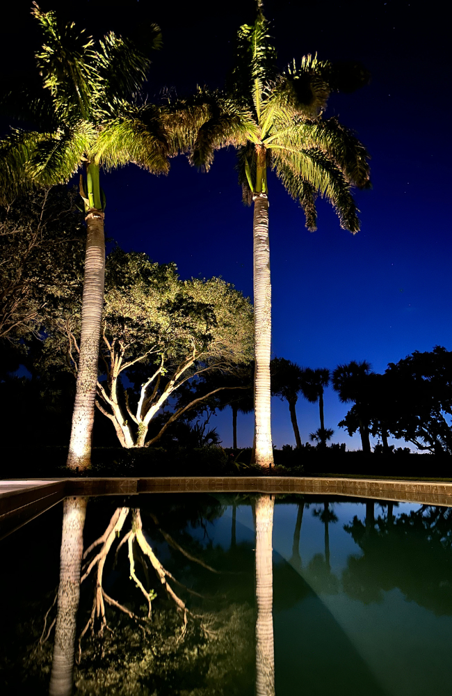 Large Pool Palms Hero_PROJECTS PAGE_LARGE (650 x 1000 px)