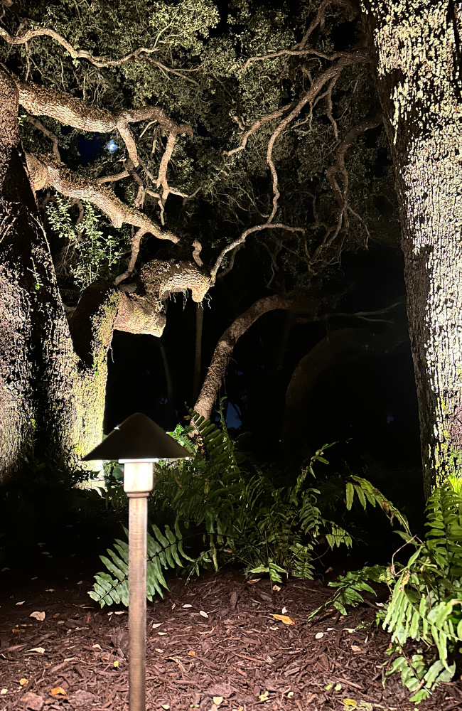 Pathlight & Oaks 2_PROJECTS PAGE_LARGE (650 x 1000 px)