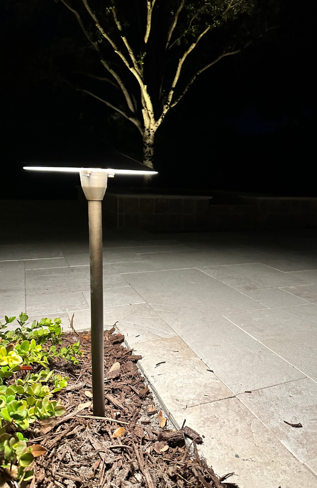 Pathlight Tree Background_PROJECTS PAGE_LARGE (650 x 1000 px)