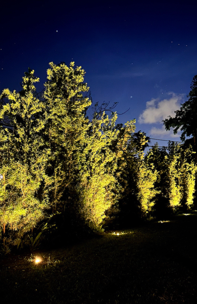 Privacy Hedge_PROJECTS PAGE_LARGE (650 x 1000 px)