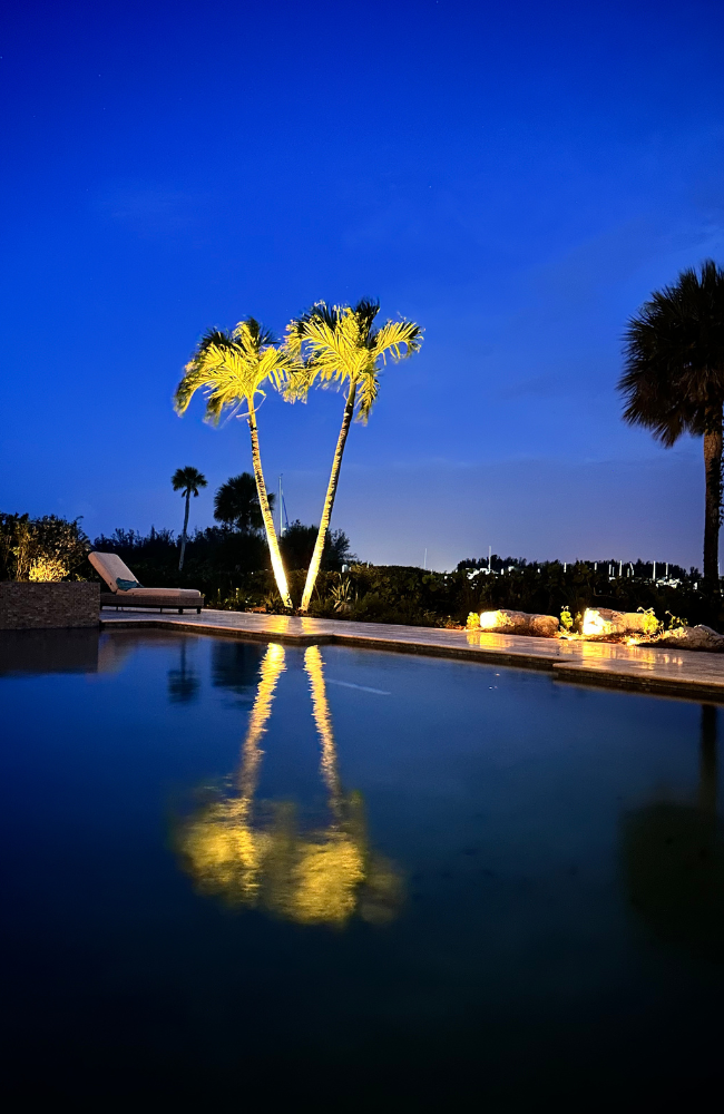 Reflection Triple Palm 2_PROJECTS PAGE_LARGE (650 x 1000 px)