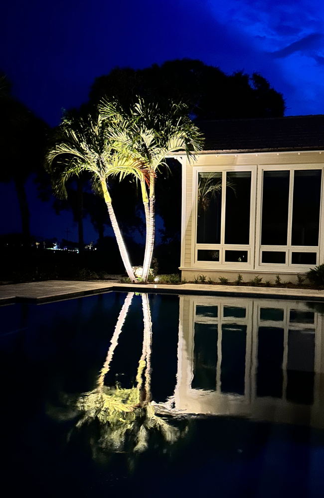 Reflection Triple Palm_PROJECTS PAGE_LARGE (650 x 1000 px)