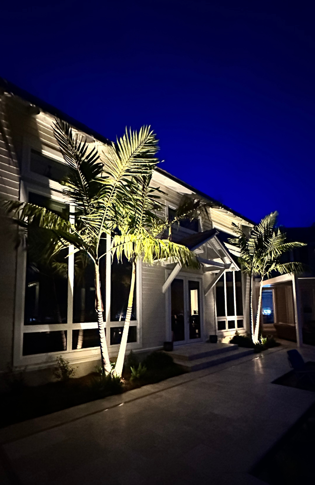 Triple Pool Palms Jones_PROJECTS PAGE_LARGE (650 x 1000 px)