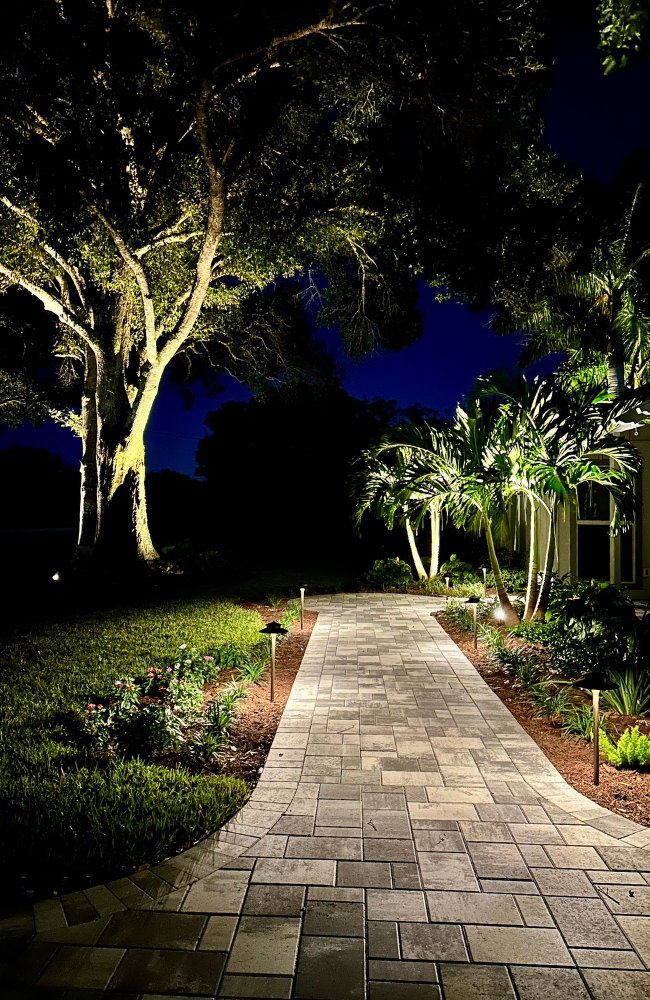 WEBSITE_PROJECTS PAGE