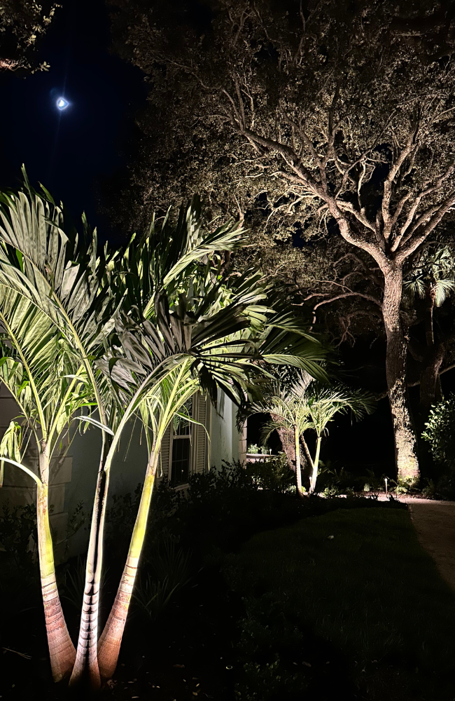 Xmas & Oak Tree_PROJECTS PAGE_LARGE (650 x 1000 px)